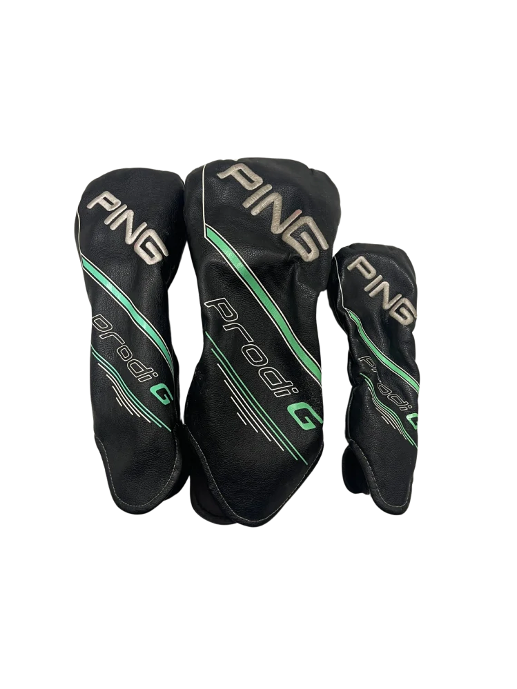 Ping PRODI G